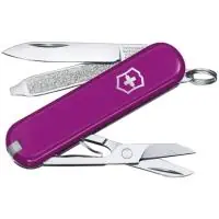 nozh-brelok-victorinox-0-6223-52g-classic-sd-tasty-grape 1 nozh-brelok-victorinox-0-6223-52g-classic-sd-tasty-grape 1