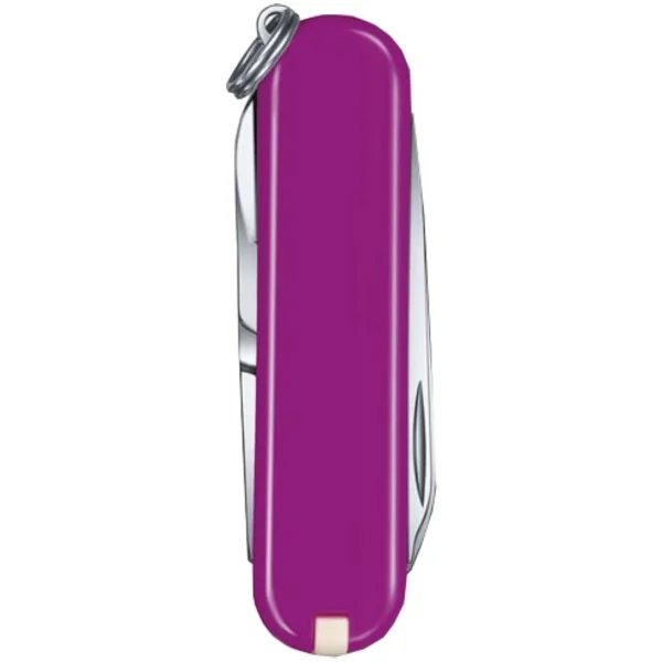 nozh-brelok-victorinox-0-6223-52g-classic-sd-tasty-grape 3 nozh-brelok-victorinox-0-6223-52g-classic-sd-tasty-grape 3