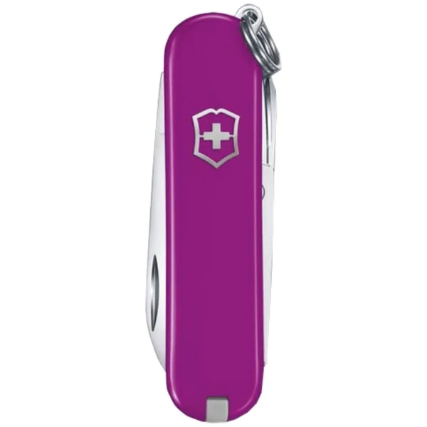 nozh-brelok-victorinox-0-6223-52g-classic-sd-tasty-grape 2 nozh-brelok-victorinox-0-6223-52g-classic-sd-tasty-grape 2