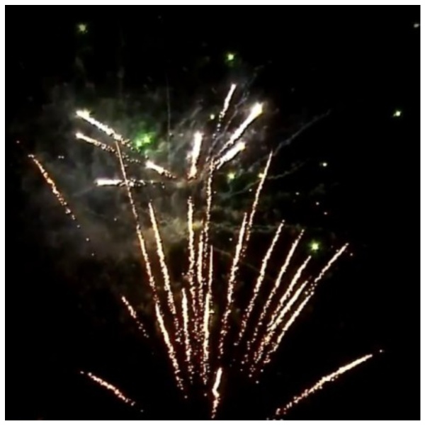 batareya-salyutov-gulyaj-student-rs6370-0-8-19zalp-5ehff 2